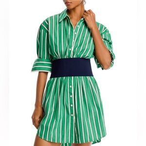 Green Striped Shirt Dress with Navy Belt